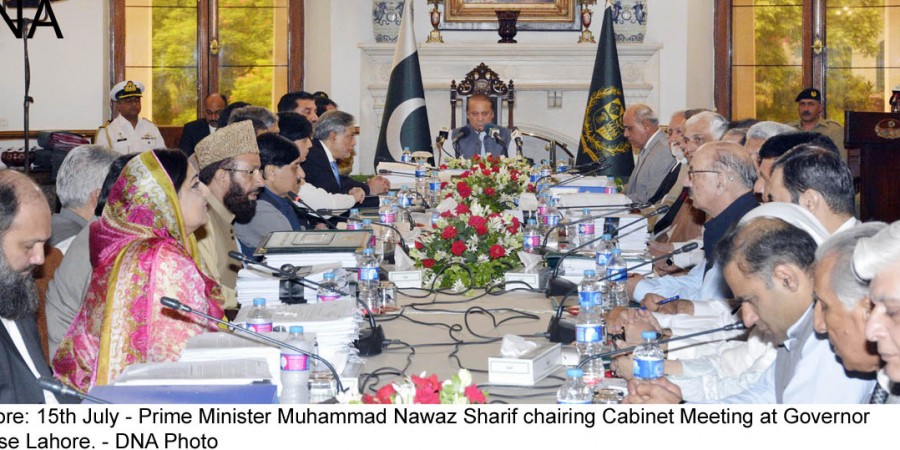 Cabinet condemns Indian govt for calling Burhan a terrorist