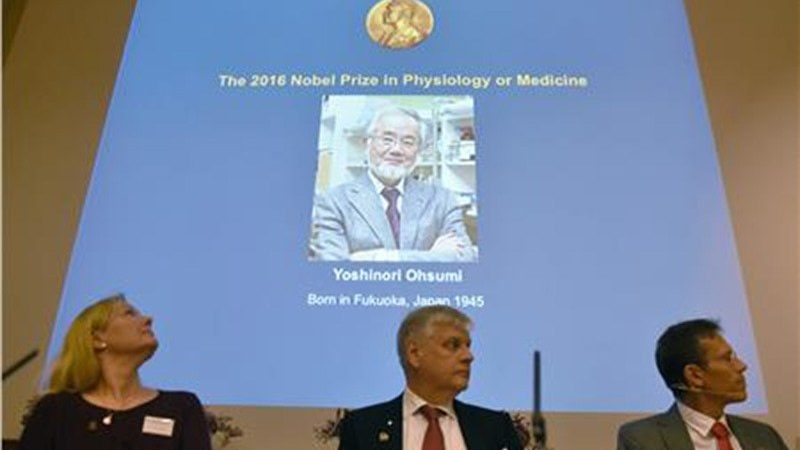 Japanese scientist wins Nobel Prize in medicine