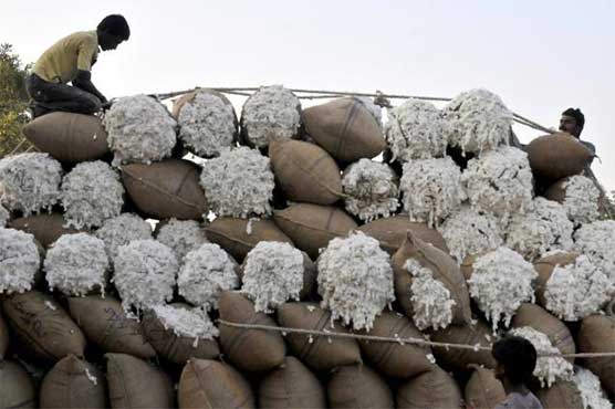 Indian cotton exports to Pakistan slump amid tensions