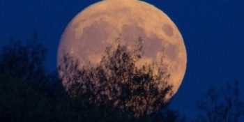 Pakistan to witness 'Supermoon' at sunset today