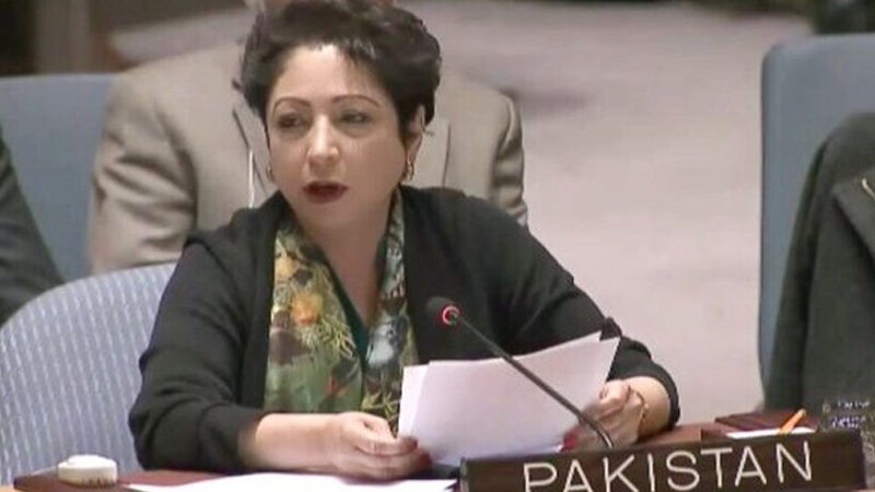 Pakistan’s cultural events at UN in 2016 made positive impact