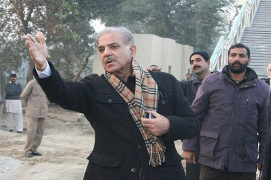 Shehbaz