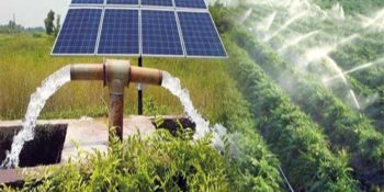 ADB extends $86.41 mln for irrigation project in KP