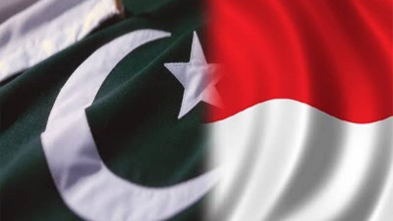 Indonesia makes big trade concession to Pakistan under PTA