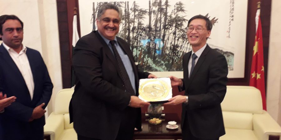China committed to help Pakistan cope with social challenges: Yao Jing