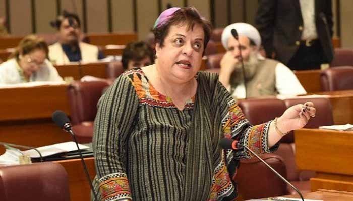 16 CTD officials booked under anti-terror law: Shireen Mazari