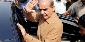 LHC orders to release Shehbaz Sharif on bail