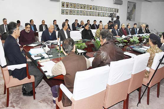 ECC approves measures for revival of cotton crop