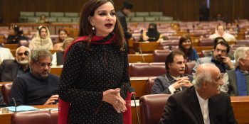 Parliament support is vital in crisis, Sherry