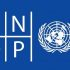 UNDP Resident Rep. urges collective action for addressing global challenges