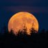 In pictures: Mesmerising strawberry moon illuminates sky