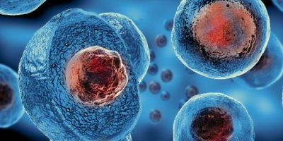 STEM Cell Therapy: A moral predicament