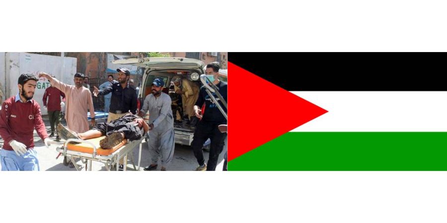Expressing Solidarity: Palestine condemns terror attacks in Mastung, KPK
