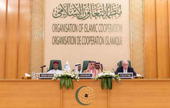 OIC demands immediate halt to Israeli attacks on Palestinian civilians