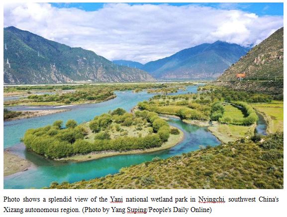 Nyingchi's efforts in wetland conservation