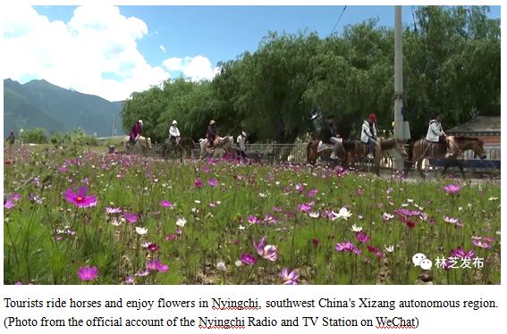 Nyingchi's efforts in wetland conservation
