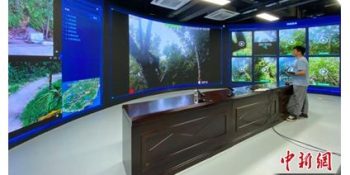 Digital technology gives leg up to ecological conservation in Hainan Tropical Rainforest National Park