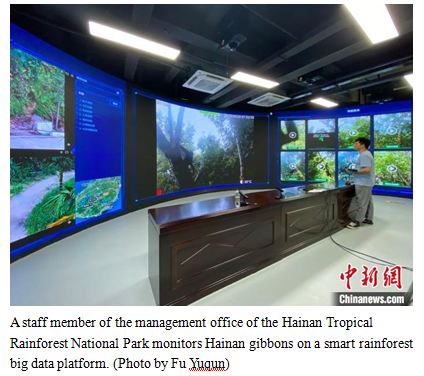 Digital technology gives leg up to ecological conservation in Hainan Tropical Rainforest National Park