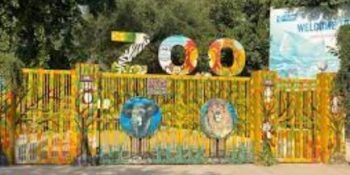 The Plight of Islamabad Zoo: A Call for Change and Responsibility