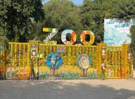 The Plight of Islamabad Zoo: A Call for Change and Responsibility