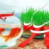 From Iran to Central Asia: Nowruz bridges cultures with shared customs