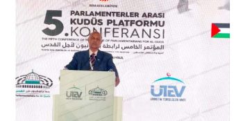 Mushahid Hussain: Palestine integral to Pakistan's national identity, tells Istanbul Summit