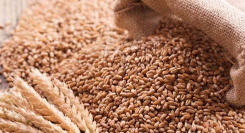 ECC holds detailed discussions on wheat procurement targets