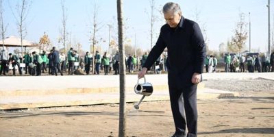 Uzbek President urges national environmental action: 'Every home, every enterprise must protect nature