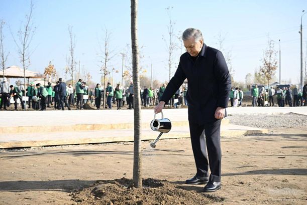 Uzbek President urges national environmental action: 'Every home, every enterprise must protect nature