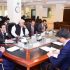 Federal Minister for Finance Muhammad Aurangzeb meets French Ambassador