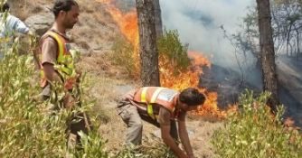 Forest fire in Bara Hotar Lower Galiyat contained by Rescue 1122