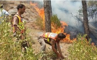 Forest fire in Bara Hotar Lower Galiyat contained by Rescue 1122