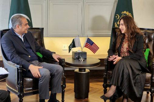 Naqvi meets US Acting Ambassador