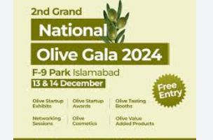 National Food Security Ministry to organize two-day olive gala on Dec 13