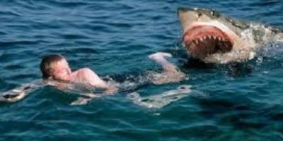 Tourist killed in Egypt Red Sea shark attack: environment ministry