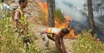 Forest fire breaks out in Khanaspur Ayubia amid prolonged drought