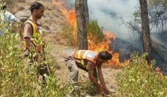 Forest fire breaks out in Khanaspur Ayubia amid prolonged drought