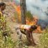 Forest fire breaks out in Khanaspur Ayubia amid prolonged drought, engulfs nearby areas