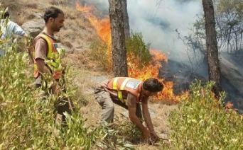 Forest fire breaks out in Khanaspur Ayubia amid prolonged drought