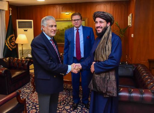 Pak-Afghan Diplomacy: Shakeeb, Dar explore path to enhanced cooperation