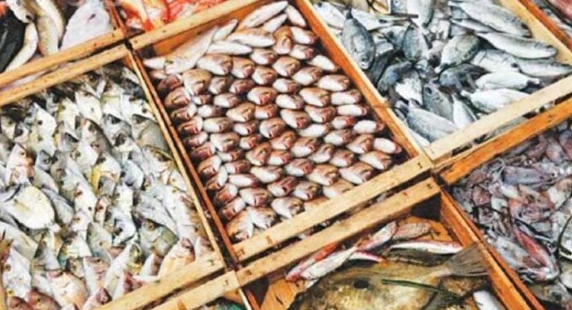 Pakistani hairtail and aquatic products gain popularity in China