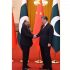 Zardari, Xi meet in Beijing to bolster bilateral cooperation