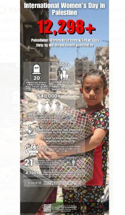 PM Mohammad Mustafa calls for Unified Arab-Islamic Plan for Gaza reconstruction at OIC meeting