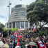 New Zealand parliament rejects controversial indigenous law
