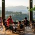 Coffee tourism draws 1 million visitors to Yunnan