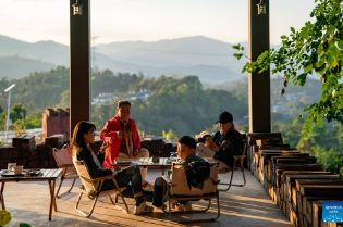 Coffee tourism draws 1 million visitors to Yunnan