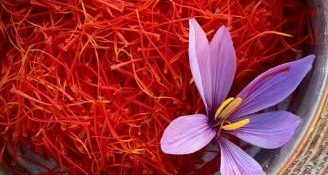 Saffron Success: Herat Sees 15% Growth in Production This Year