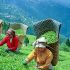 Tea Association raises serious concern over misuse of import quotas