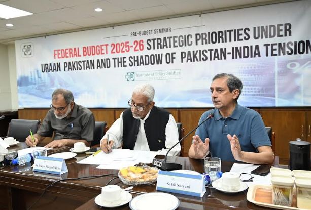 Experts stress long-term economic planning over annual budget fixation