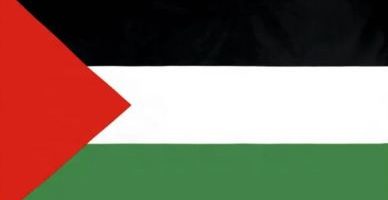 Palestine condemns Israel's attack on diplomatic delegation in Jenin